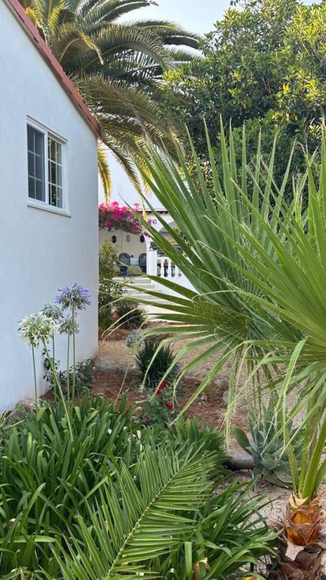 Casa Paraiso