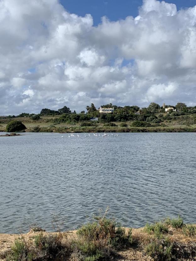 Casa Paraiso